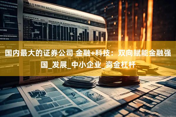国内最大的证券公司 金融+科技：双向赋能金融强国_发展_中小企业_资金杠杆