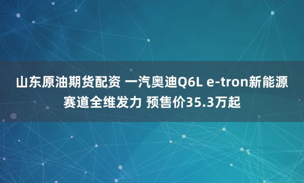 山东原油期货配资 一汽奥迪Q6L e-tron新能源赛道全维发力 预售价35.3万起